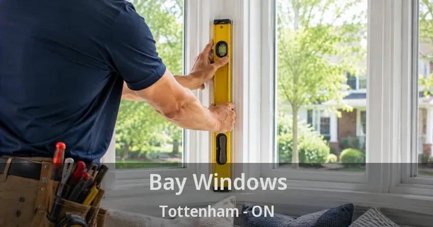 Bay Windows Tottenham - ON